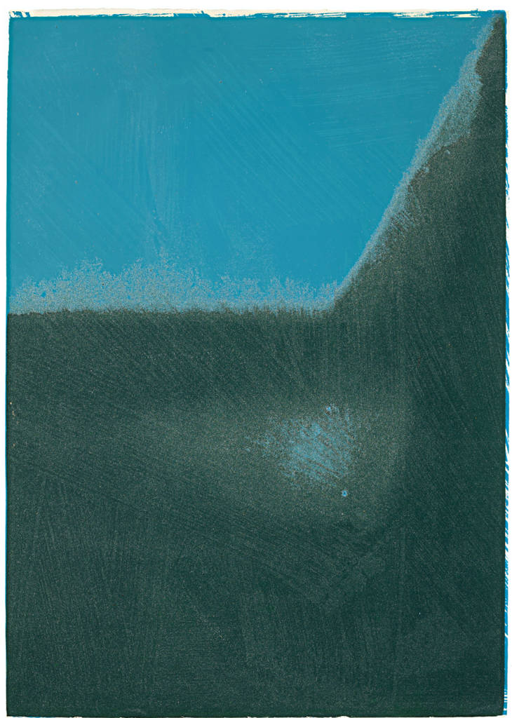 Andy Warhol | Shadows I | II.208 | 1979